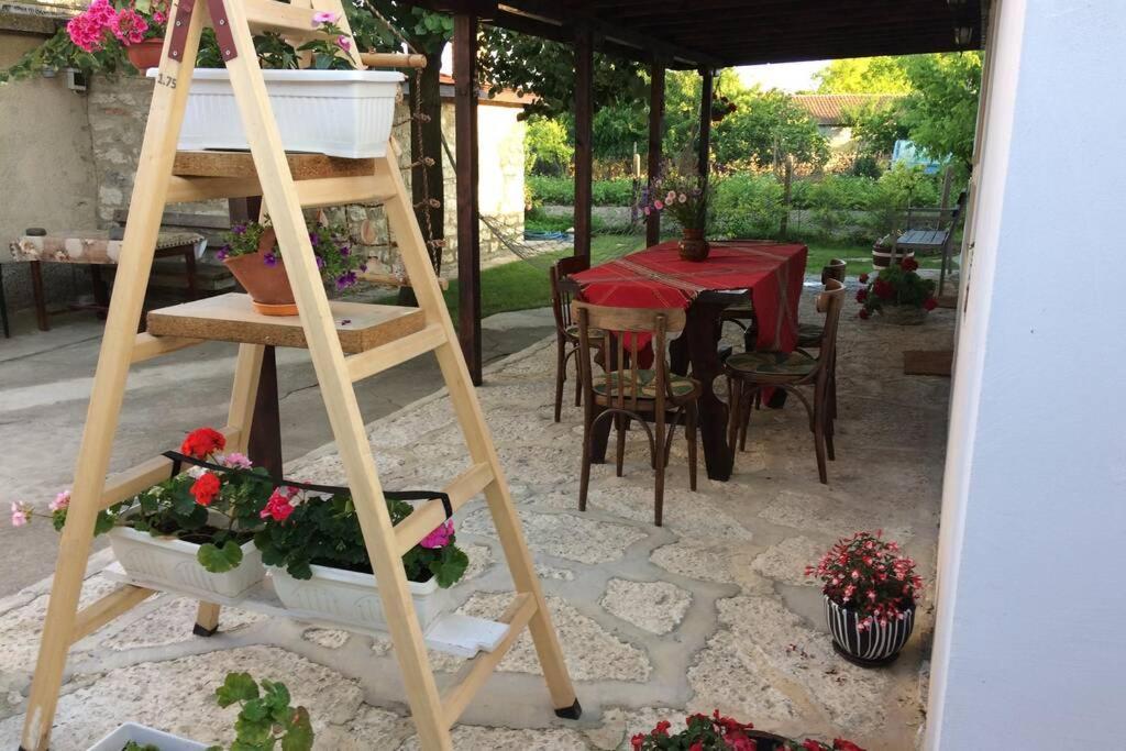 Guest House Kostadinovi Bŭlgarevo 외부 사진